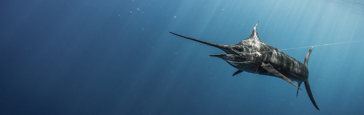 LAND COVERS 28% OF OUR PLANET. MUSTAD COVERS THE REST.